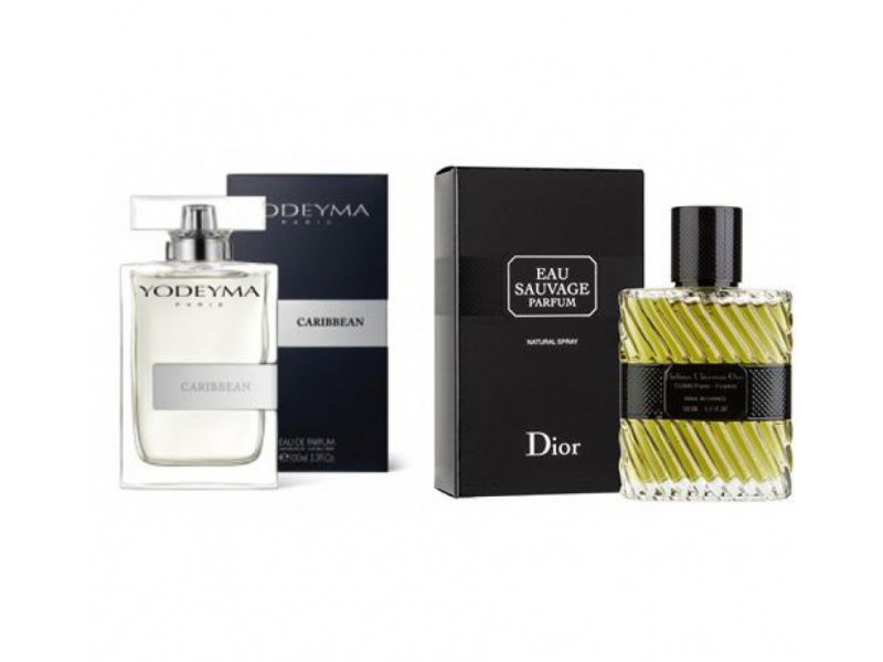 Мужская туалетная вода Yodeyma Caribbean 100 ml 